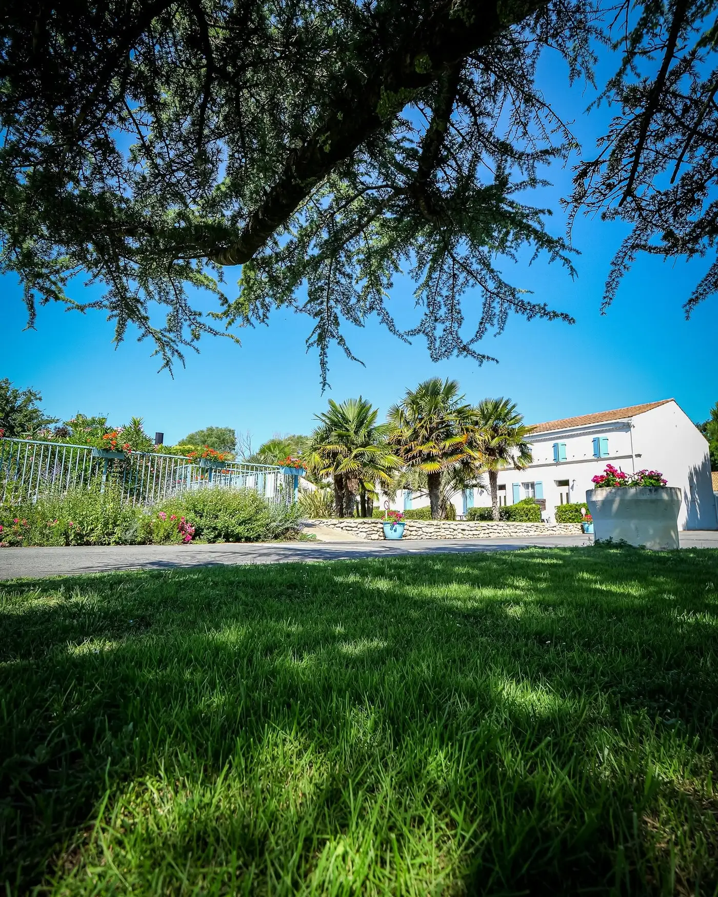 Jardin paysager de la résidence